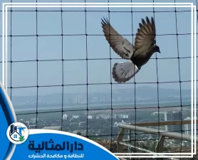 شركة تركيب طارد الحمام بالخبر