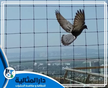 شركة تركيب طارد الحمام بالخبر