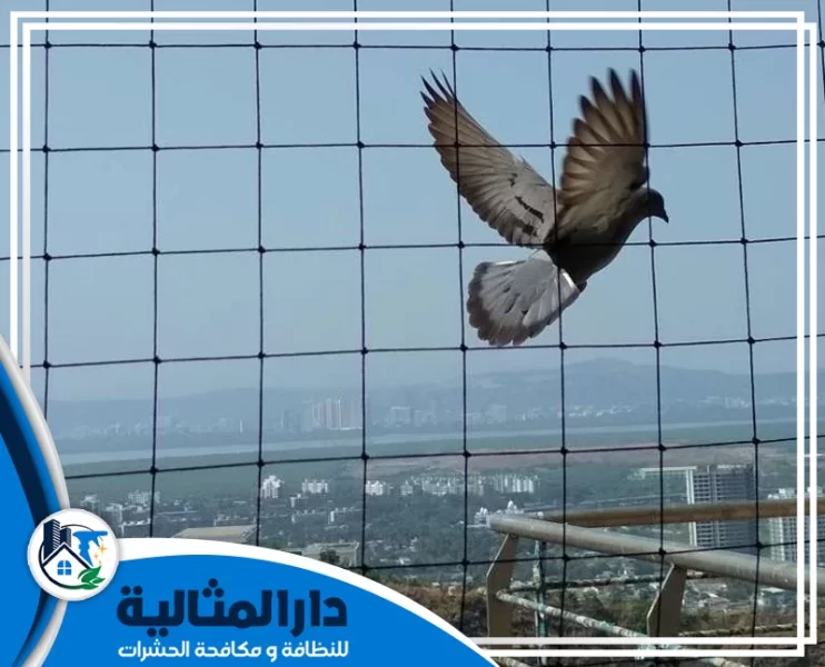 شركة تركيب طارد الحمام بالخبر