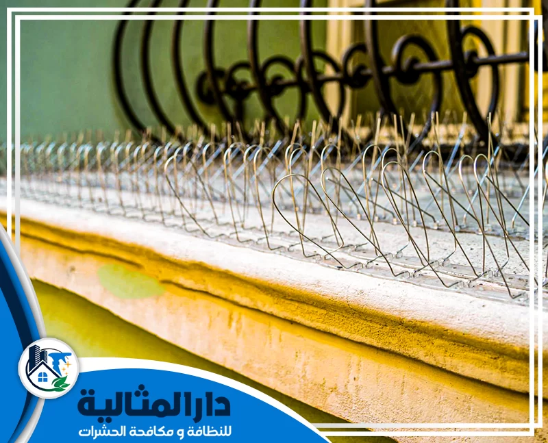 افضل طرق طرد الحمام من الشبابيك بالخبر 0598198483 دار المثالية نقدم خدمة طارد الحمام من الشبابيك بالخبر باستخدام تقنيات حديثة لضمان التخلص من الحمام بشكل فعال وحماية منزلك من المشاكل المرتبطة به.