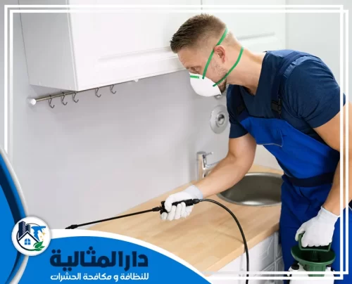 افضل شركة مكافحة حشرات بالخبر 0598198483 مؤسسة دار المثالية فني من افضل شركة مكافحة حشرات بالخبر يرش المطابخ بدقة لضمان التخلص التام من الآفات.