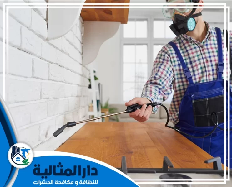 شركة مكافحة حشرات بالخبر