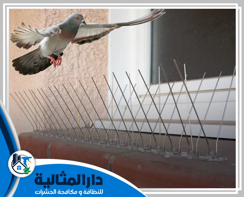 شركة مكافحة حمام بالقطيف 0598198483 شركة دار المثالية شركة مكافحة حمام بالقطيف تقدم حلولًا فعّالة لطرد الحمام من الأسطح والنوافذ باستخدام شبك وحواجز آمنة تحافظ على نظافة المكان.