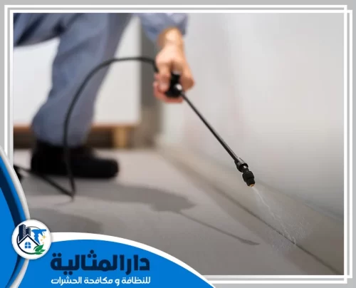 شركة مكافحة حشرات بالقطيف 0598198483 مؤسسة دار المثالية عامل من شركة مكافحة حشرات بالقطيف يرش المبيدات على حواف الجدران.