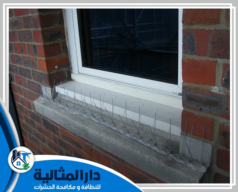 تركيب شبك مانع الحمام بالقطيف 0598198483 شركة دار المثالية تركيب شبك مانع الحمام بالقطيف يمنحك حماية فعالة لأسطحك ونوافذك من تجمع الطيور، ويضمن بيئة نظيفة خالية من الفضلات والروائح المزعجة.