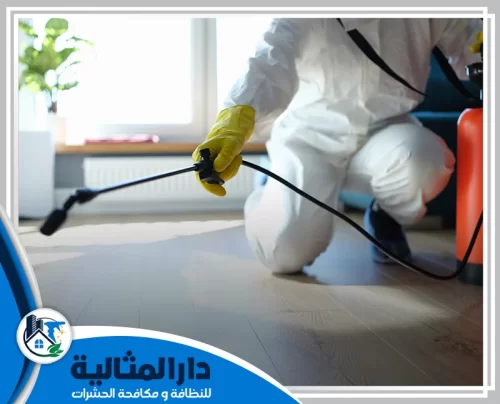 أخصائي يرتدي ملابس واقية أثناء عملية ابادة حشرات بالقطيف لتطهير المنزل.