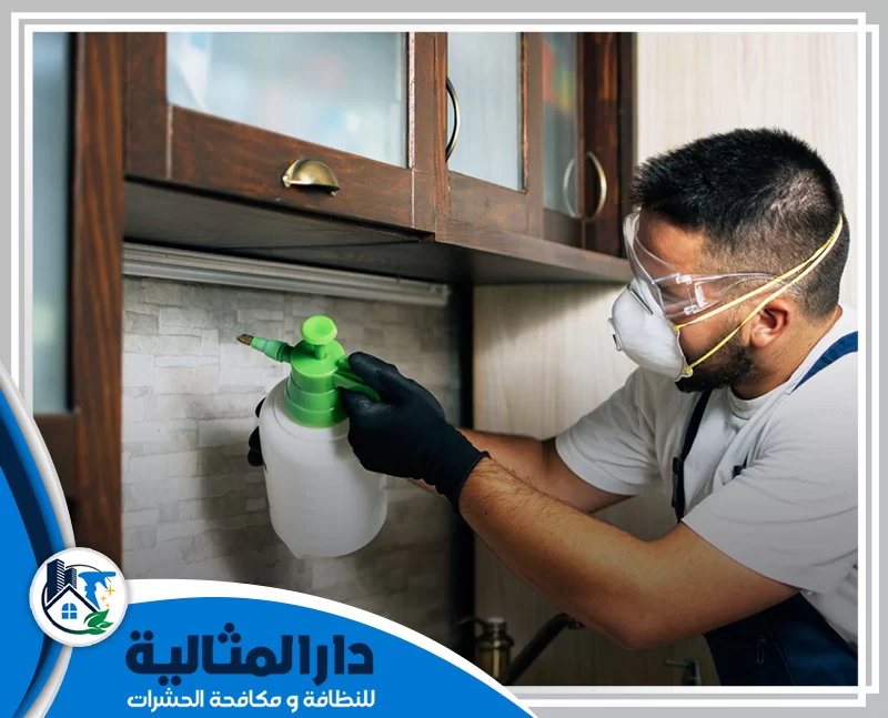 مكافحة حشرات المطبخ بالقطيف 0598198483 دار المثالية فريق شركتنا يقوم بمكافحة حشرات المطبخ بالقطيف بعناية فائقة باستخدام مواد آمنة وفعالة لضمان بيئة نظيفة وصحية.