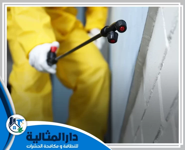 شركة مكافحة حشرات بالقطيف