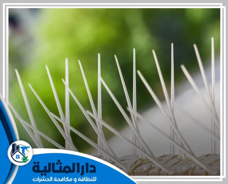 شركة تركيب طارد الحمام بالقطيف