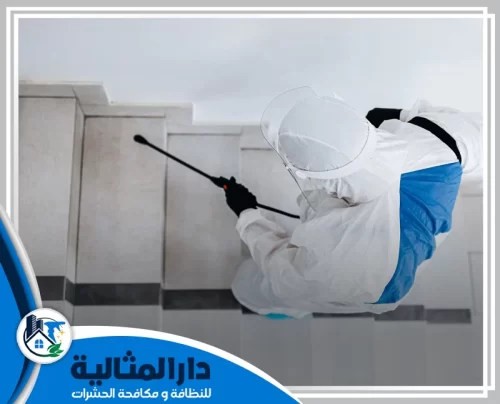 فني يرتدي بدلة واقية من شركة رش حشرات بالقطيف يرش درجاً بمبيد حشري.